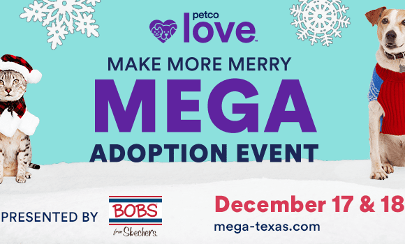 Press Release: City’s Animal Services Joins Petco Love to Make Holidays “More Merry” for Shelter Pets