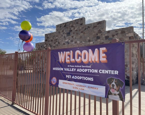 Mission Valley Adoption Center in El Paso Texas