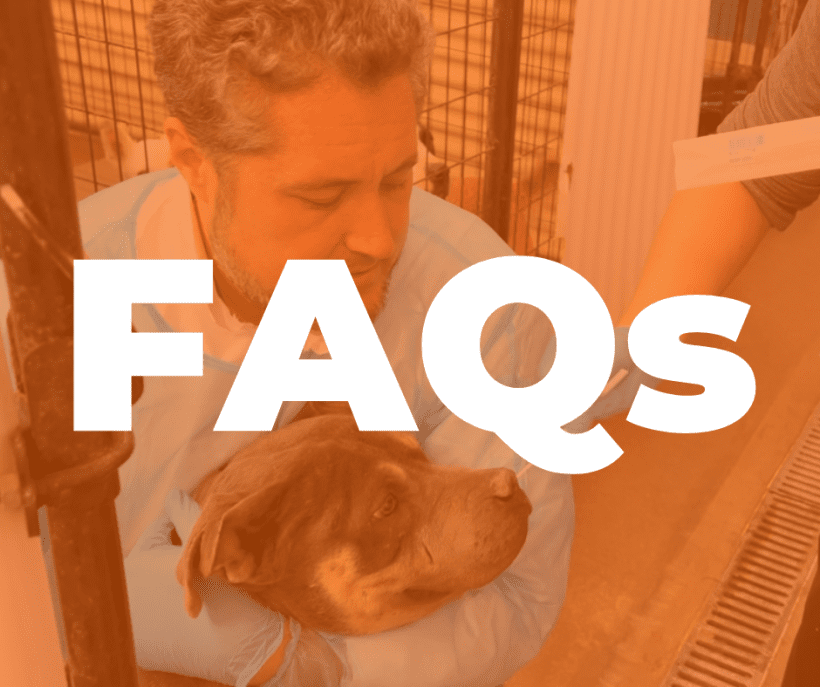FAQs –  Strep Zoo and Distemper Outbreak