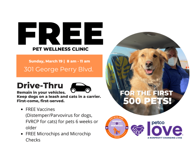 Press Release: City of El Paso Hosts Free Drive-Thru Pet Wellness Clinic