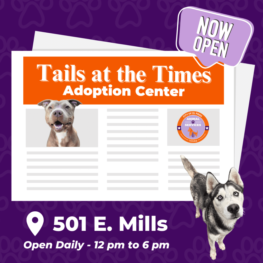Press Release City of El Paso Animal Services Opens Third Satellite