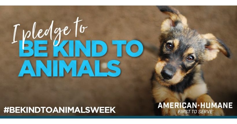 Show Your Pet Kindness – National Be Kind to Animals Week