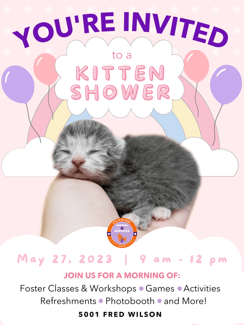 Press Release: Animal Services Gears Up For Litter Season by Hosting a “Kitten Shower”
