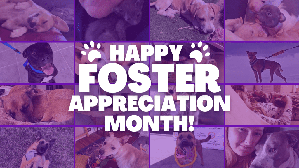 EPAS Foster Appreciation Month 1024x577 