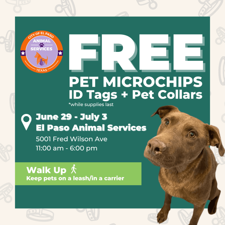 Press Release: City of El Paso Animal Services Increases Microchipping