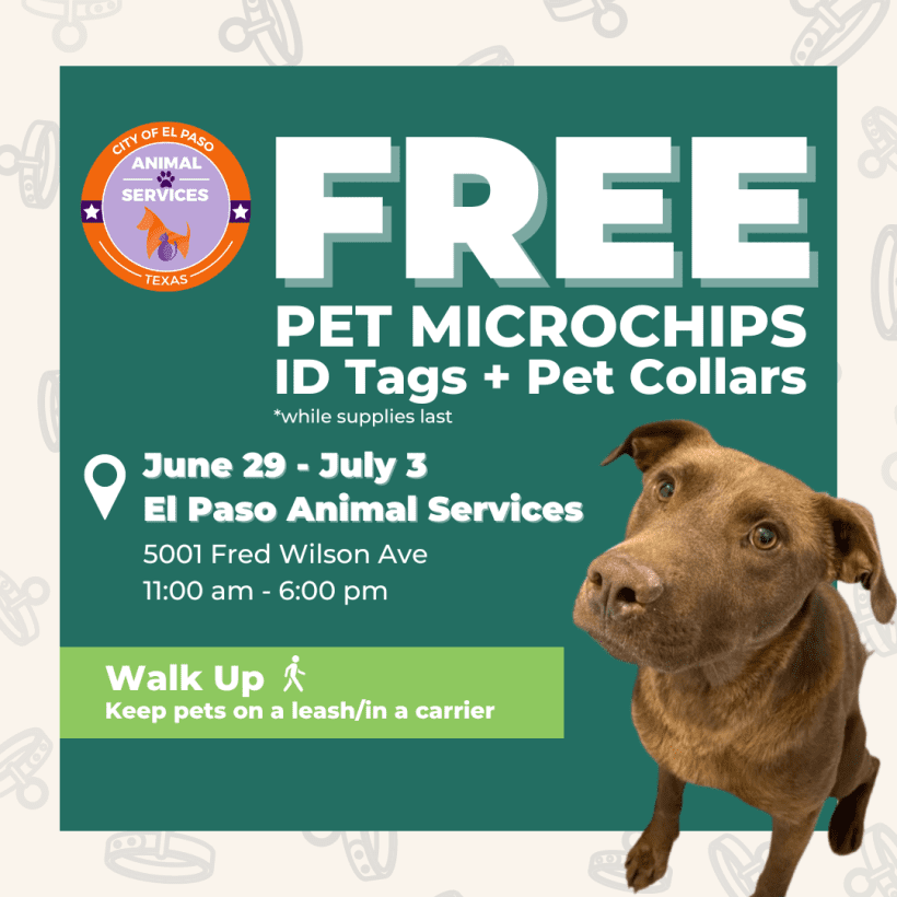 Press Release: City of El Paso Animal Services Increases Microchipping Efforts Ahead of Fourth of July