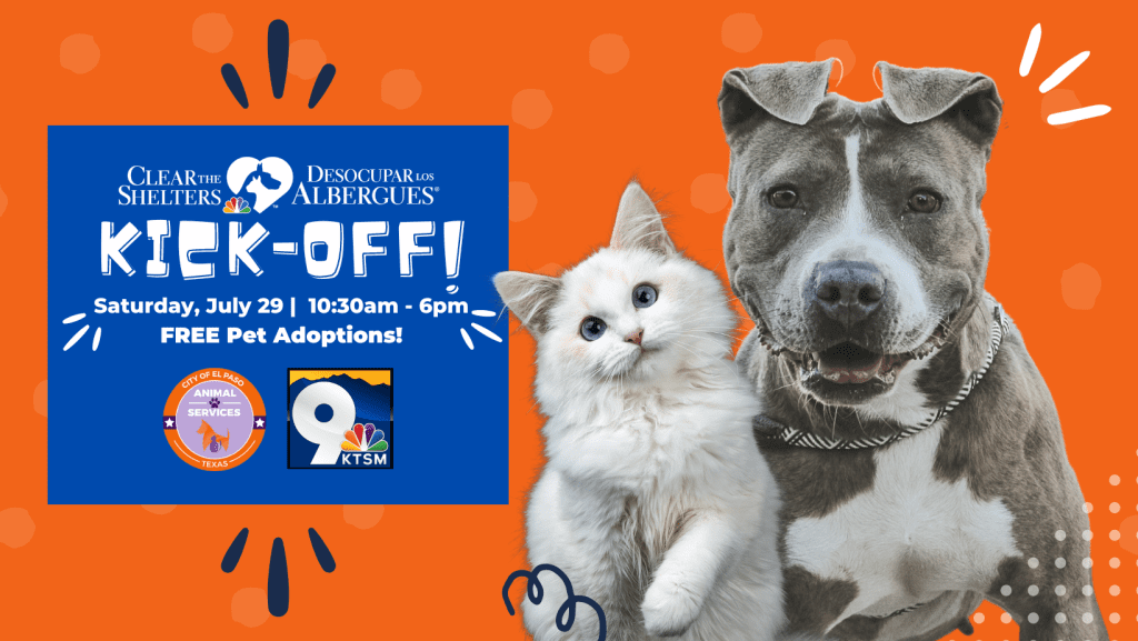 Press Release El Paso Animal Services Annual ‘Clear the Shelters