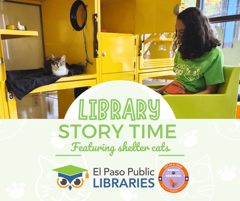 Press Release: El Paso Animal Services & Public Libraries Host Kitty & Doggie Storytime Events
