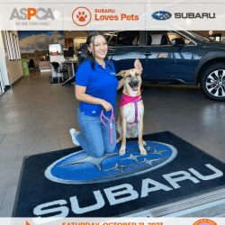 Press Release: El Paso Animal Services and Subaru Partner to Highlight the “Underdogs”