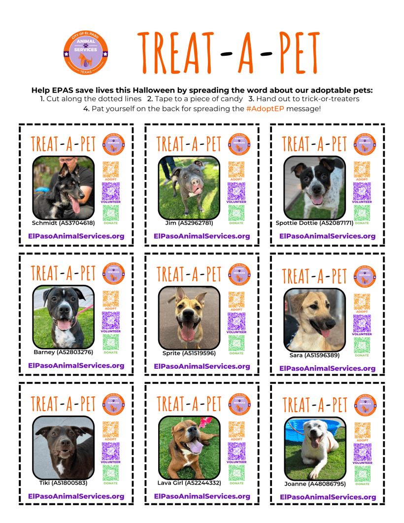 Help Save Lives This Halloween with Treat-a-Pet!