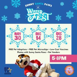 Press Release: City of El Paso Animal Services Offers Free Adoptions, Microchips, Pet Vaccines During WinterFest