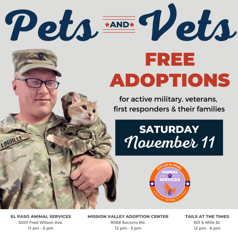 Press Release: El Paso Animal Services Celebrates Veterans Day with Pets and Vets Event