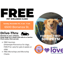 Press Release: El Paso Animal Services Hosts Free Drive-Thru Pet Wellness Clinic