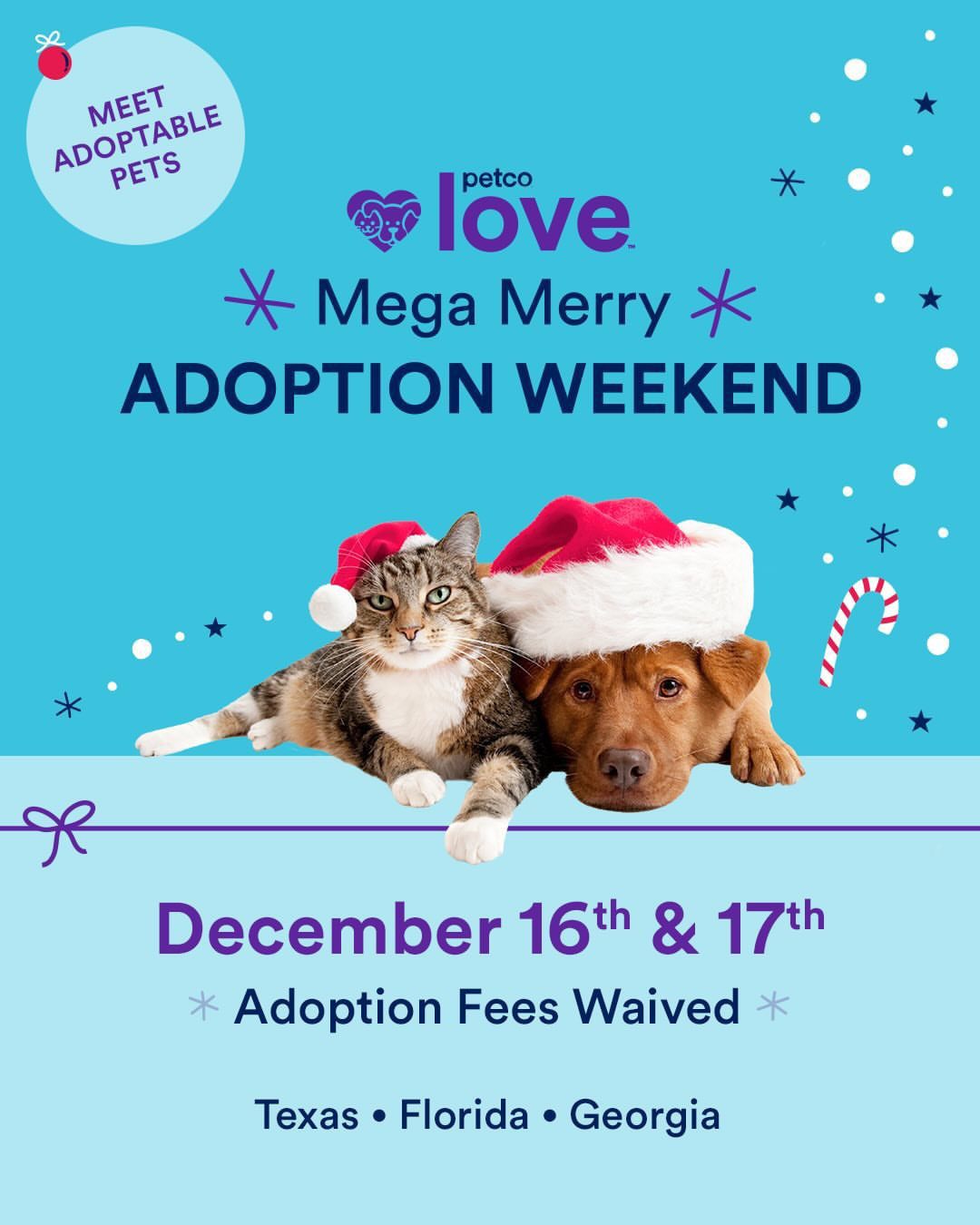 Adoption weekend deals