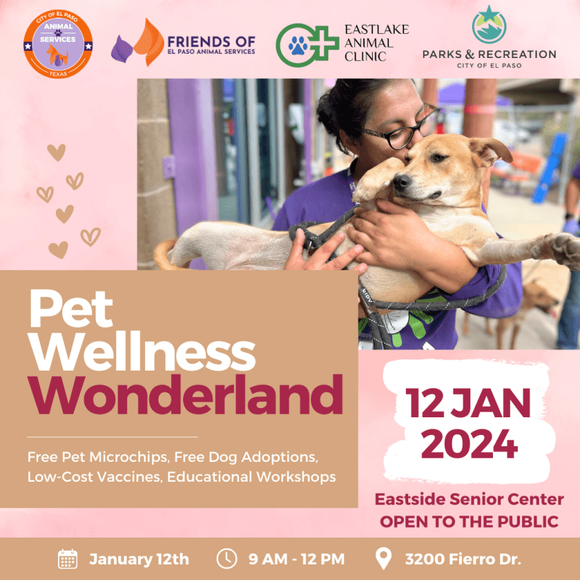 Press Release: City of El Paso Animal Services and Parks & Recreation Departments Host Pet Wellness Wonderland