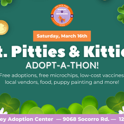 Press Release: El Paso Animal Services Hosts St. Pitties & Kitties Adop-A-Thon