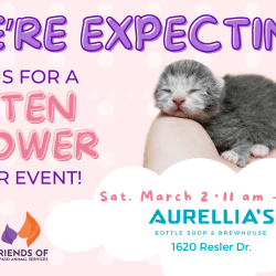 Press Release: Animal Services Gears Up For Litter Season by Hosting a “Kitten Shower”