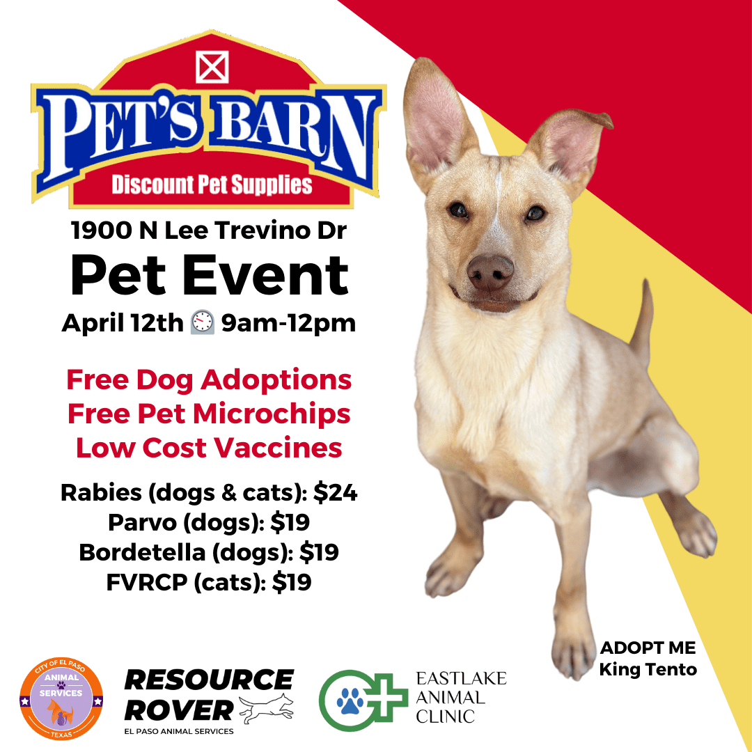 Pet s Barn Adoptions Microchips Vaccines El Paso Animal