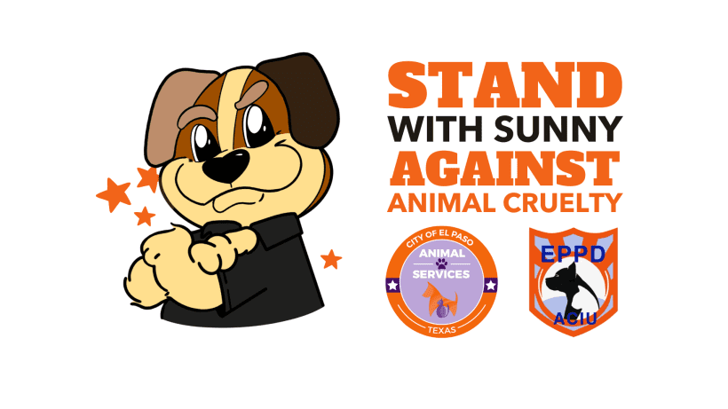 Press Release: El Paso Animal Services Invites Community to “Stand With Sunny” During Prevention of Cruelty to Animals Month