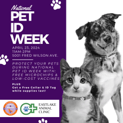 Press Release: Celebrate National Pet ID Week with El Paso Animal Services