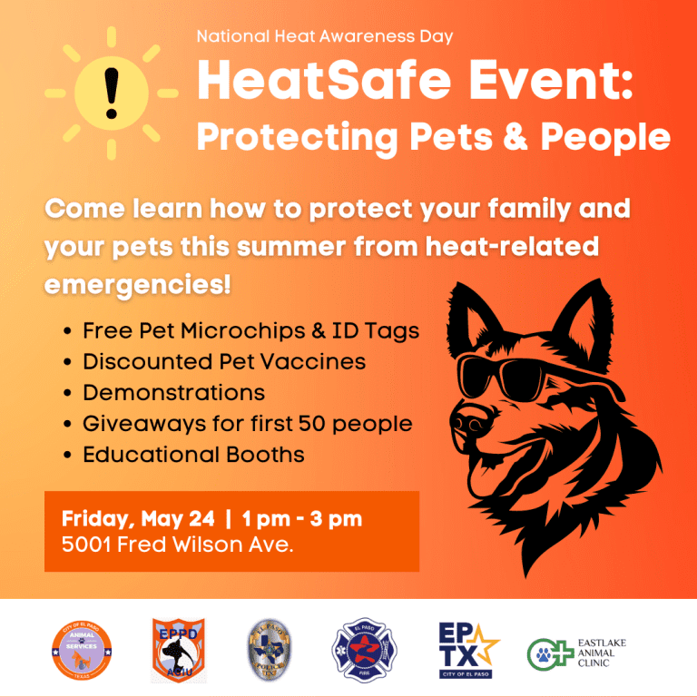 Press Release: City of El Paso Recognizes National Heat Awareness Day