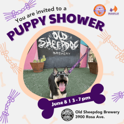 Press Release: El Paso Animal Services Hosts Fun-Filled “Puppy Shower” Event