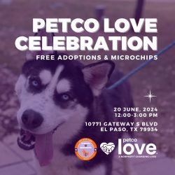 Press Release: El Paso Animal Services Awarded Generous  Lifesaving Investment From Petco Love