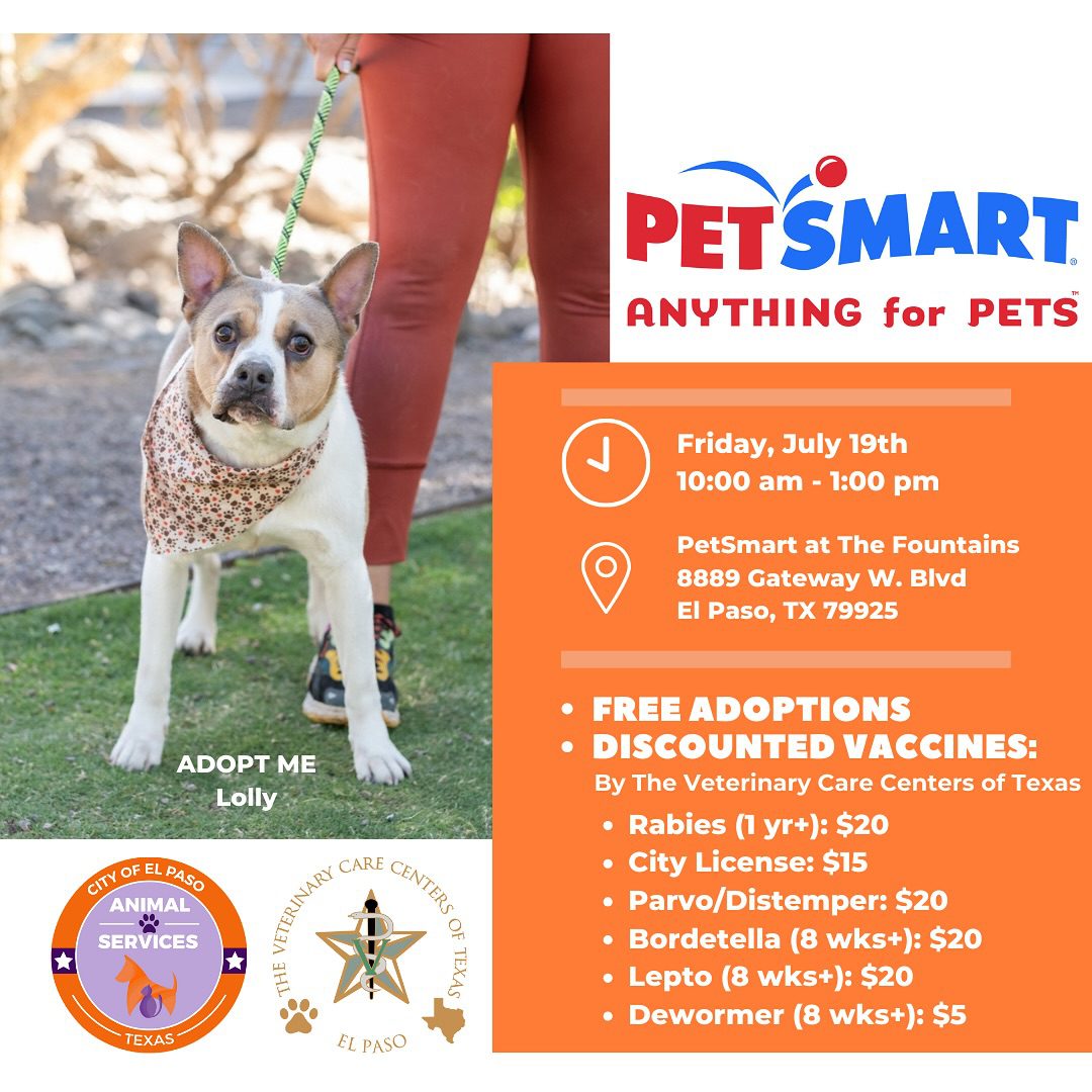 Petsmart pet el fashion