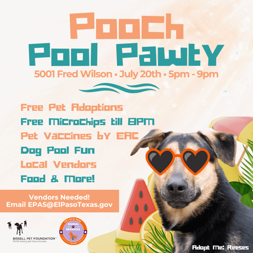 Press Release: City of El Paso Animal Services Hosts a Pool Pawty Pet Event