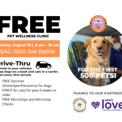 Press Release: El Paso Animal Services Offers Free Drive-Thru Pet Wellness Clinic