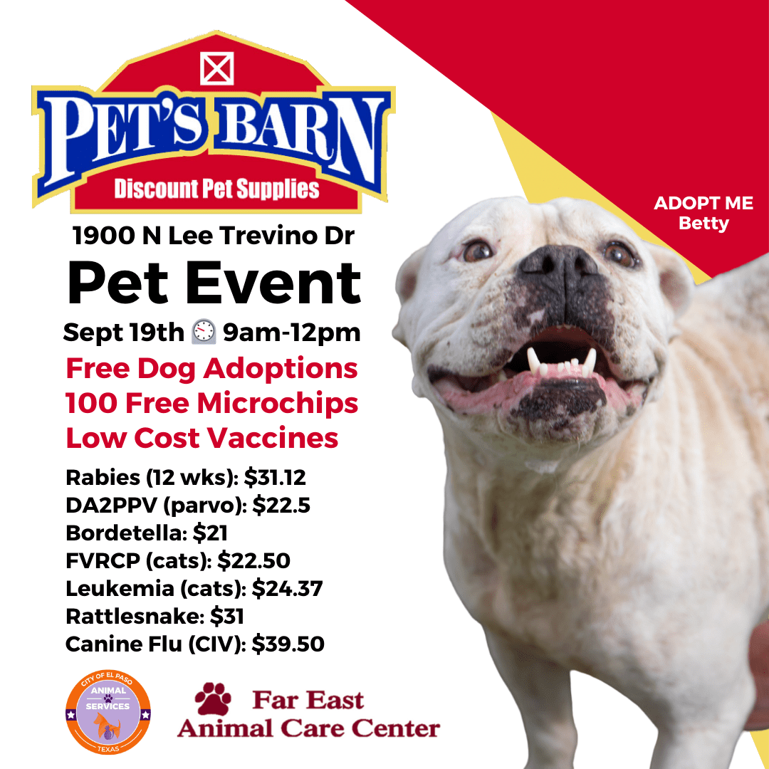 pet barns near me