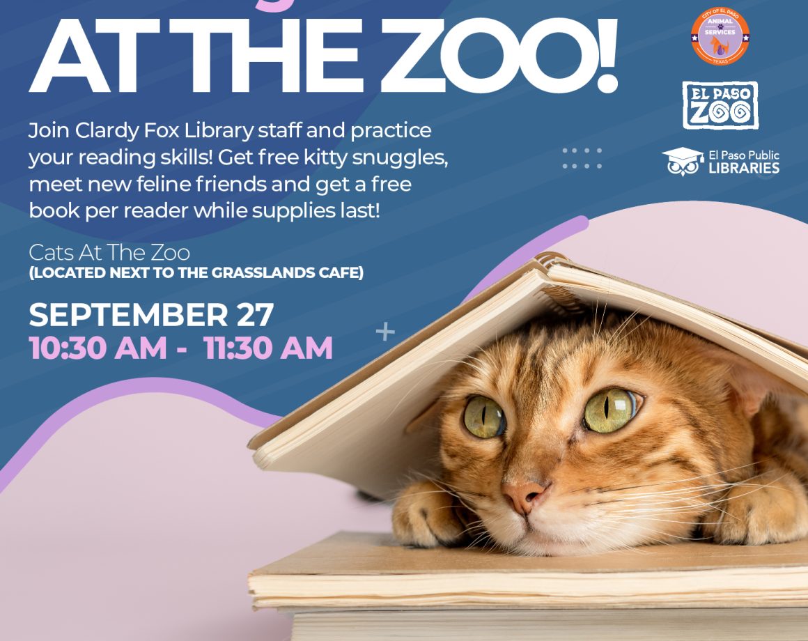 Reading at CATZ El Paso Zoo El Paso Animal Services