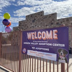 Press Release: El Paso Animal Services Debuts Facility Enhancements at Satellite Adoption Center