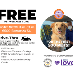 Press Release: El Paso Animal Services Hosts Drive-Thru Pet Wellness Clinic