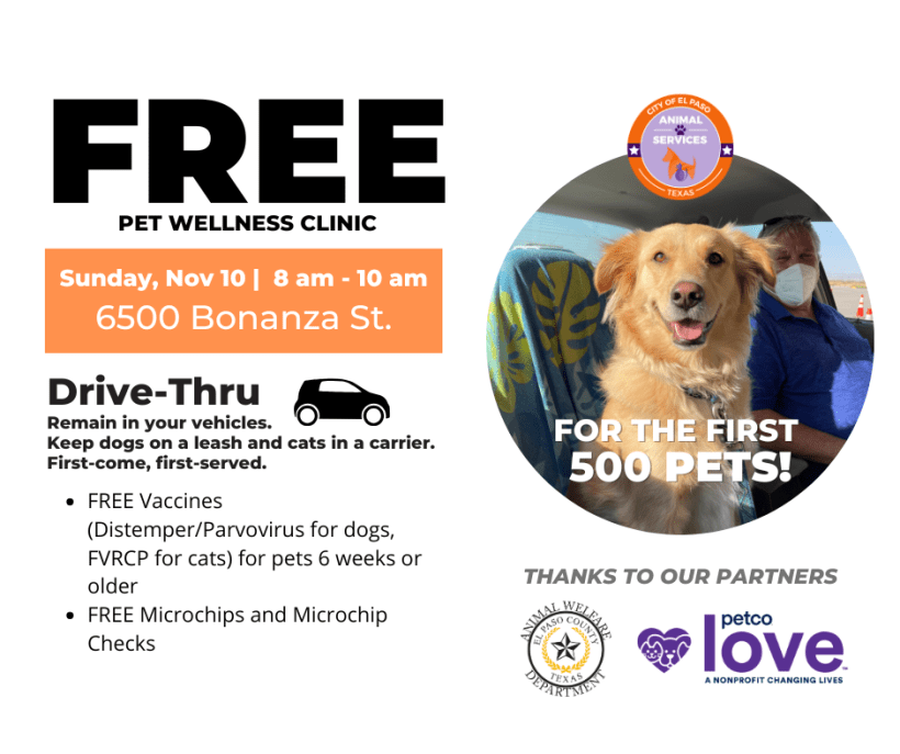 Press Release: El Paso Animal Services Hosts Drive-Thru Pet Wellness Clinic