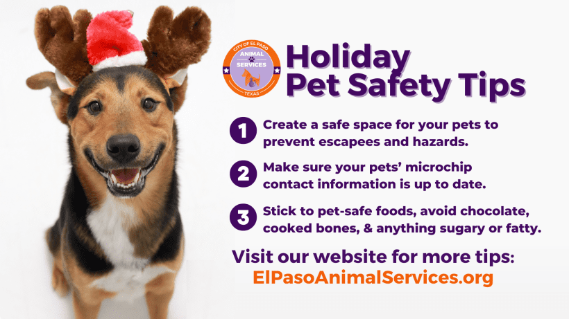 Holiday Pet Safety Tips