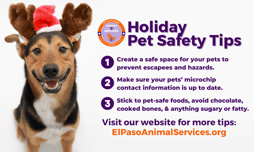 Holiday Pet Safety Tips