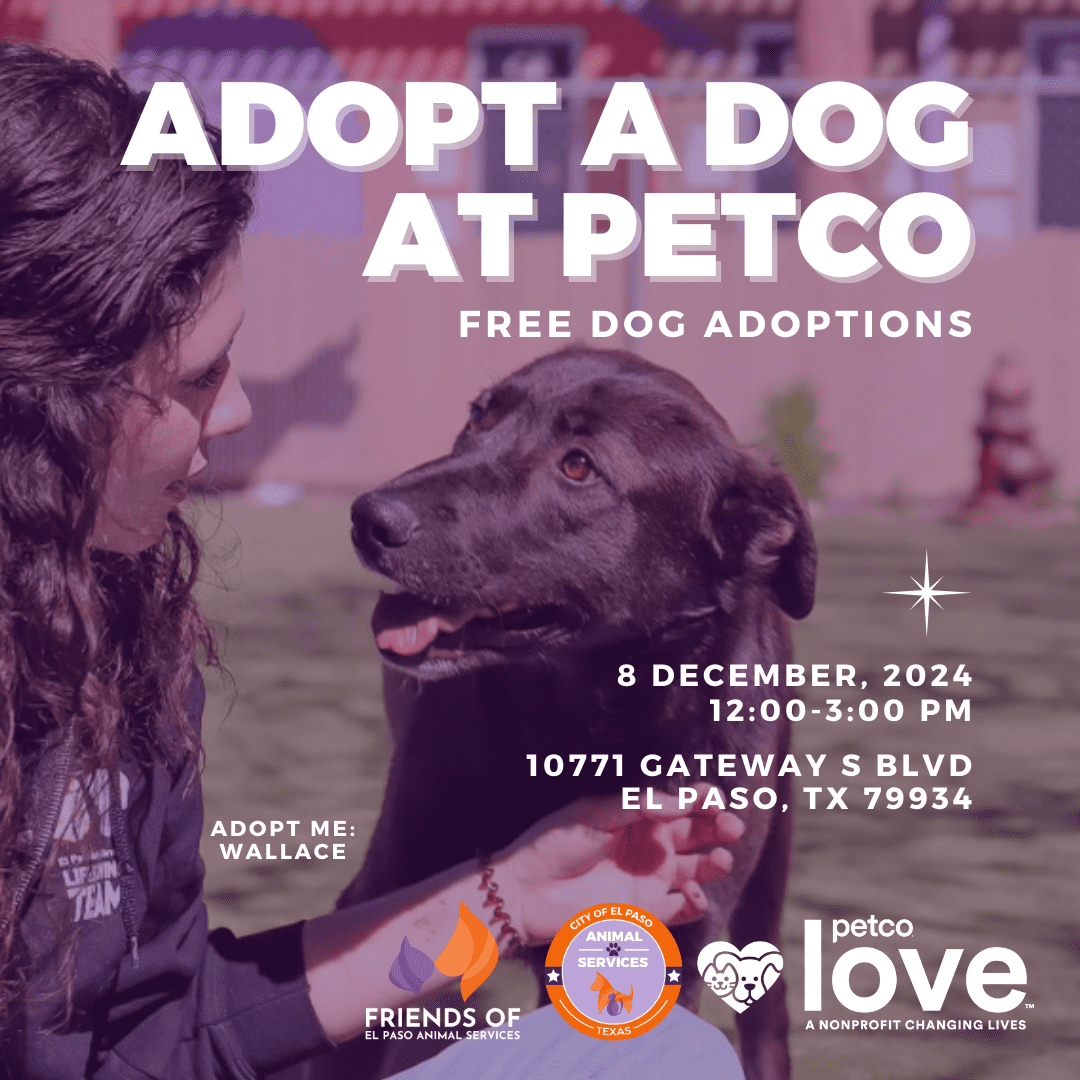 Animal Rescue League Of El Paso Petco Animal Store Petco Animal