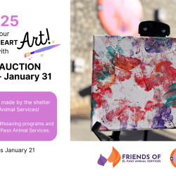 Press Release: Friends of El Paso Animal Services Hosts 3rd Annual Art Auction to Benefit Pets in Need