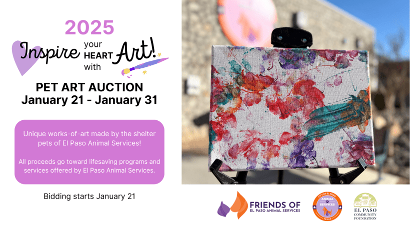 Press Release: Friends of El Paso Animal Services Hosts 3rd Annual Art Auction to Benefit Pets in Need