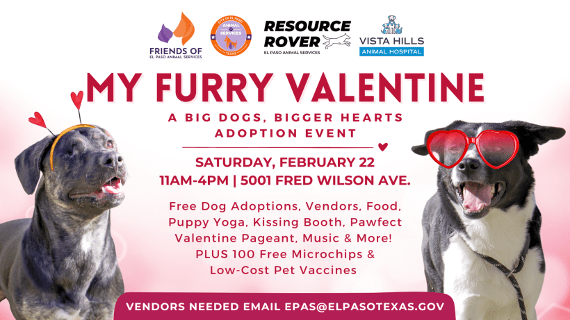 Press Release: Find Love at El Paso Animal Services’ My Furry Valentine Pet Event