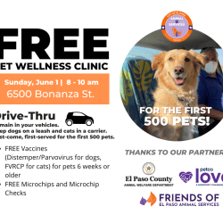 Press Release: Hundreds of El Paso Pets to Receive Free Lifesaving Vaccines This Sunday