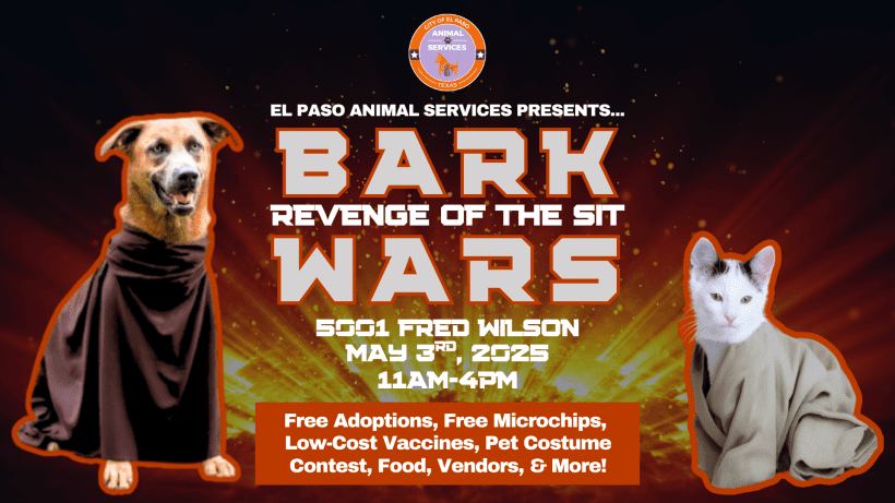 Press Release: El Paso Animal Services Hosts “Bark Wars: Revenge of the Sit” Press Release: El Paso Animal Services Hosts “Bark Wars: Revenge of the Sit”