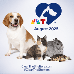 National ‘Clear the Shelters’ Campaign Returns to El Paso Animal Services