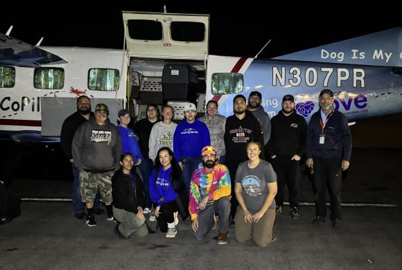 El Paso Shelter Pets Find New Opportunities Through Lifesaving Transport Flights