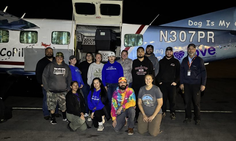 El Paso Shelter Pets Find New Opportunities Through Lifesaving Transport Flights