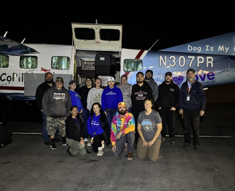 El Paso Shelter Pets Find New Opportunities Through Lifesaving Transport Flights El Paso Shelter Pets Find New Opportunities Through Lifesaving Transport Flights