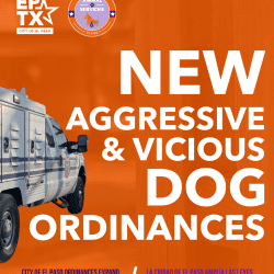 Press Release: City Amends Title 7 Animal Ordinance to Enhance Public and Animal Safety