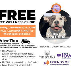Press Release: El Paso Animal Services Hosts Final Free Pet Wellness Clinic of 2025