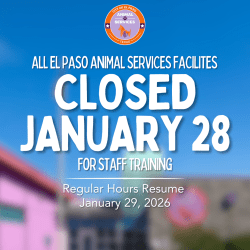 Press Release: Temporary Closure at El Paso Animal Services for Staff Development